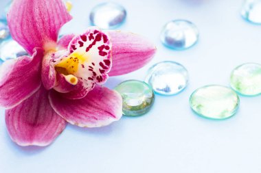 Spa ve sağlıklı yaşam ayarı ile orkide çiçek, ahşap mavi arka plan üzerine yağlıboya