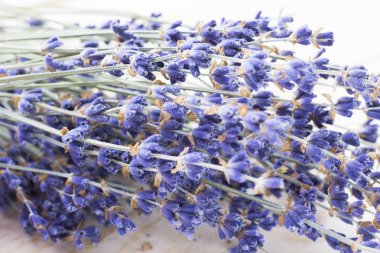 Lavanta çiçekleri ile spa ve sağlıklı yaşam ayarı, deniz tuzu, şişede yağ, ahşap beyaz arka plan üzerinde aroma mum