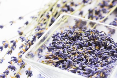 Lavanta çiçekleri ile spa ve sağlıklı yaşam ayarı, deniz tuzu, şişede yağ, ahşap beyaz arka plan üzerinde aroma mum