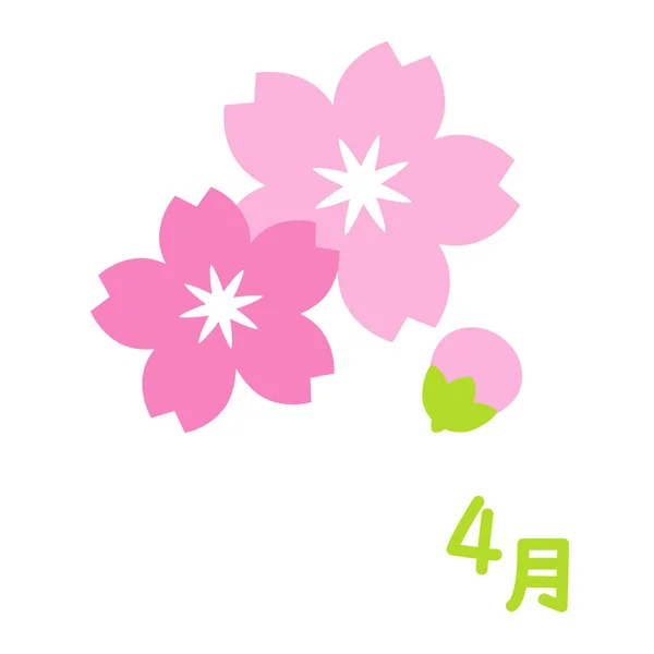 Cereja Floresce Sakura Abril Japonês Ilustração — Fotografia de Stock