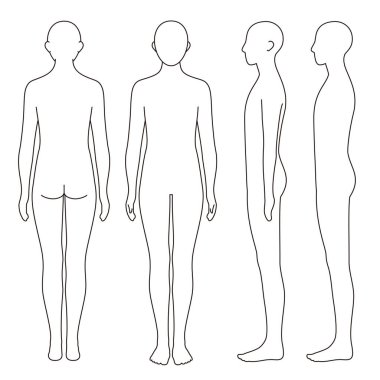 human body model, outline, front, back and side, vector file set,  monochrome illustration clipart
