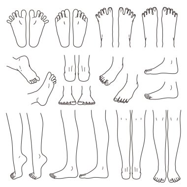 foot and leg, knee and toe, vector file set,  monochrome illustration