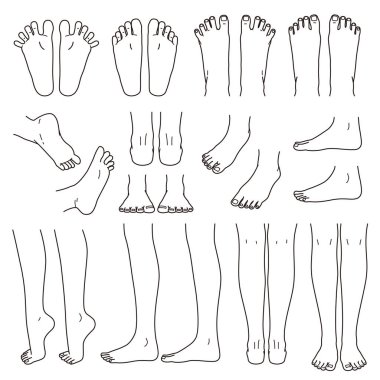 foot and leg, knee and toe, vector file set,  monochrome illustration clipart