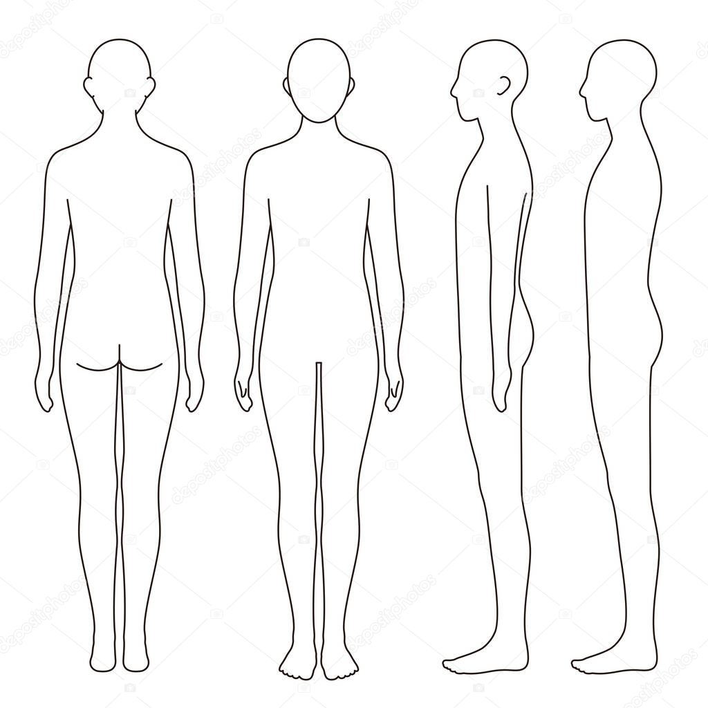 human body model, outline, front, back and side, vector file set,  monochrome illustration