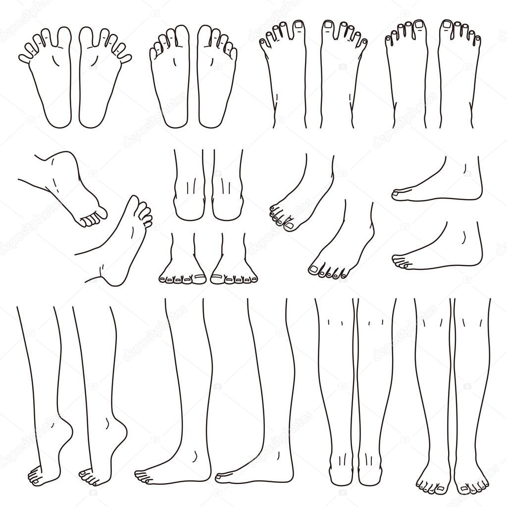 foot and leg, knee and toe, vector file set,  monochrome illustration