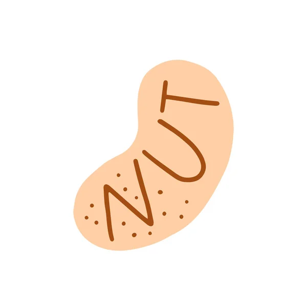 Nut Sign Healthly Food Concept Icon Unsur Sederhana Diisolasi Pada - Stok Vektor
