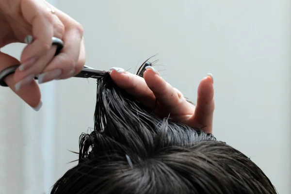 Female Hands Scissors Cut Ends Hair Guy Head Close Haircuts — Stock Photo, Image