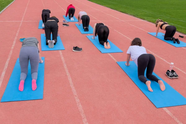 Bir grup kız farklı giysili yoga ya da fitness Stadı nda ilgileniyoruz. Arkadan görünüm. Yanında yeşil çim pembe koşu bandı üzerinde uzanan eğitim.