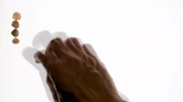 Time Lapse Mannenhand Beweegt Schelpen Een Witte Achtergrond Het Woord — Stockvideo