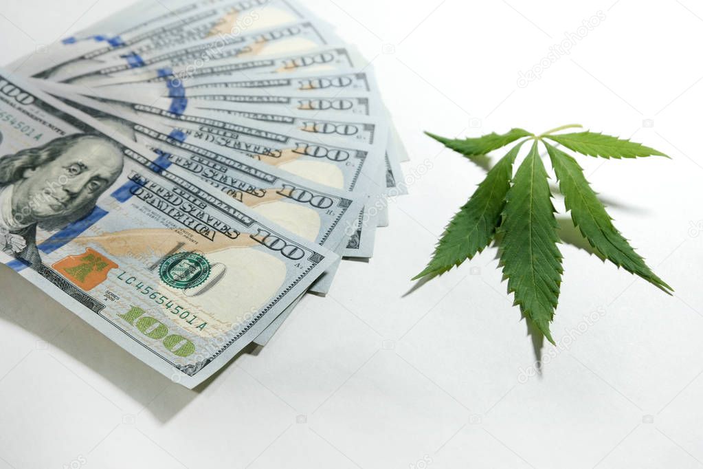 A marijuana sheet lies next to a hundred dollar bills on a white background. The concept of legalization or the drug dealer. Shallow depth of field. Money and cannabis.