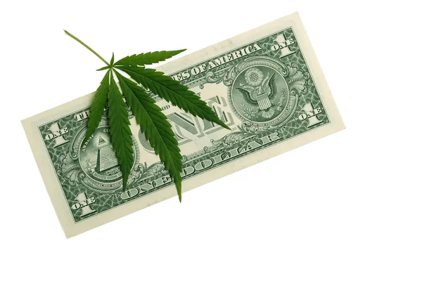 Concept Legal Sale Cannabis Green Leaf Marijuana Lies One Dollar — Stock Photo, Image