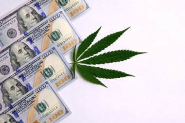 Yeşil canapis 400 yanında bize dolar beyaz bir arka plan üzerinde yaprak. Satış ve satınalma esrar, uyuşturucu veya uyuşturucu kaçakçılığı yasallaştırma kavramı. Kopya alanı.