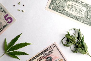 Esrar ve bir, beş, elli dolar. Bize faturaları, küçük yaprakları ve beyaz bir arka plan üzerinde marihuana taneleri bölümleri. Herhangi bir etiket için boş alan ile bir kare. Kavram uyuşturucu ve para.