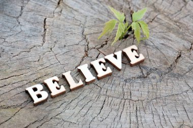 Believe kelime--dan genç yeşil filiz yanında eski güdük ahşap harfler katlanmış. Tasarım alan kopyalayın. Doğa koruma ve ekoloji kavramı.
