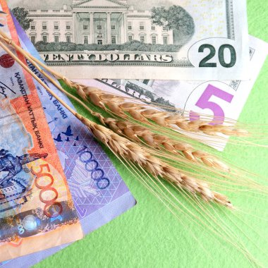 American dollars, Kazakhstan tenge and wheat ears. Square frame. The concept of the dependence of the price of grain on the exchange rate. Export and import, internal and external agricultural markets. clipart