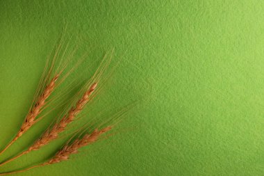 Buğday çerçevenin soldaki üç sivri.