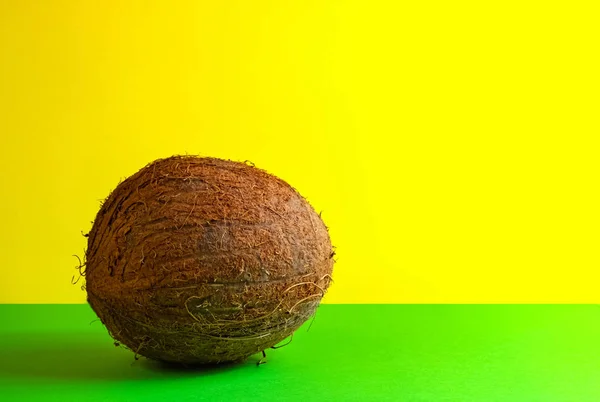 Porca Coco Encontra Uma Superfície Verde Contra Fundo Uma Parede — Fotografia de Stock