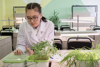 2019-09-01, Kazakistan, Kostanay. Bir genç kız öğrenci gözlük ve beyaz önlük yeşil bitkiler laboratuvarda gösterir. Tarafından lise laboratuvar sınıf suda bitki yetiştirme.