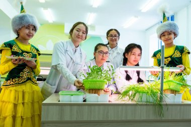 2019-09-01, Kazakhstan, Kostanay. Hydroponics. Grand opening of the laboratory biological class. Girls in white coats and national costumes. School. Growing green plants in water without land. clipart