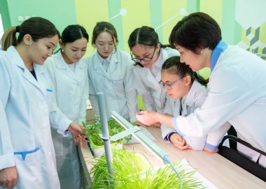 2019-09-01, Kazakistan, Kostanay. Suda. Deneysel biyolojik sınıf. Asyalı öğrenci ve öğretmen okul laboratuarında bir botanik dersi, beyaz bir ceket. Toprak olmadan suda büyüyen yeşil bitkiler.