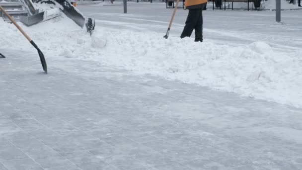 拖拉机把街道从城市的雪中清理干净 雪灾后的清洁工作 城市城市道路养护 冬天的路人 工作的铲子划雪 — 图库视频影像