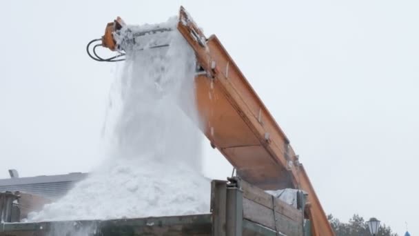 市の都市計画道路メンテナンス 雪除去車両からトラックに落ちる雪のクローズ アップ 市内の路上で雪のクリーニング — ストック動画