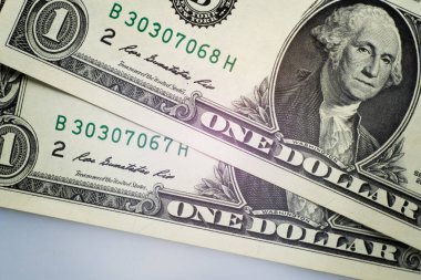 Washington portresi ile iki dolar. Seri numaraları bir birbiri ardına. Portre, bize para.