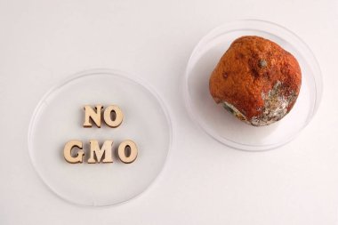 Gdo yok. Ahşap harfler ve bozuk mandalina, kalıp ile kaplı, bir Petri çanak yatıyor. Beyaz arka plan. Narenciye gıdatıbbi araştırma kavramı veya laboratuvar analizi. Sağlık, beslenme ve yaşam.