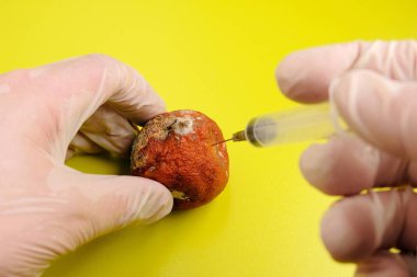 Gmos kavramı. Mandalina laboratuvar testlerine tabi tutulur ve küflenir. Eldivenli bir adam meyvede kolit ilacı. Asit sarı-yeşil arka plan.