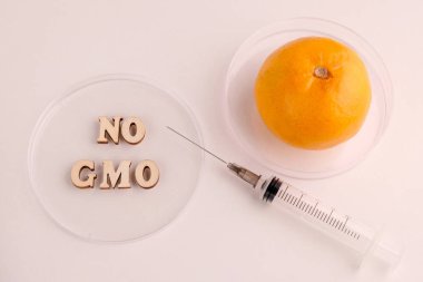 Tahta harfler Gmo yok ve şırıngalı olgun bir Mandarin. Meyve laboratuvar testleri. Turunçgil genindeki değişikliklere karşı.