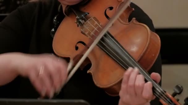 女性は美しいバイオリン音楽を演奏する 美しい女性ヴァイオリニストの手のクローズアップ — ストック動画