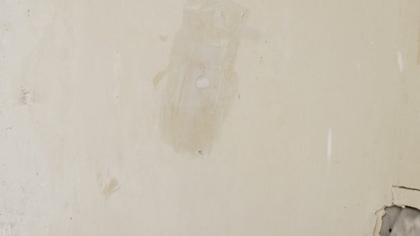 壁を修復します。へらと手は古い石膏をきれいにします。スペースのコピー. — ストック動画