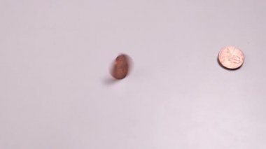 Farklı Amerikan sikkeleri döndürmek ve çerçeve içinde durdurmak. Copyspace. Biz Küçük Metal Nakit. Beyaz bir masada hareket. Yoksulluk ve zenginlik kavramı.