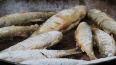 Close. Un serpilir küçük balık kamp koşullarında sıcak yağda bir tavada kızartılır. Erkek el bir çatal ile balık çevirir. Balık tutarken yemek pişirmek.