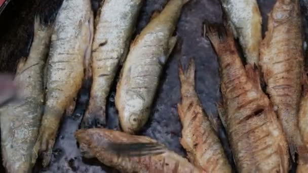 Close-up. O pequeno peixe frita-se em uma panela no óleo quente da pesca. Mão masculina vira o peixe com um garfo. Cozinhar em uma viagem de acampamento . — Vídeo de Stock