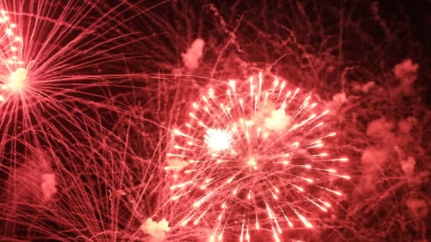 Rood Flitsen Van Vuurwerk Een Zwarte Achtergrond Abstracte Vakantie Groet — Stockvideo