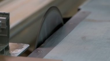 Dairesel testereli bir makine lamine yonga levhayı keser. Mobilyalar için testere parçaları. İmalat ve sanayi. Sığ alan derinliği. Seçici odaklama.