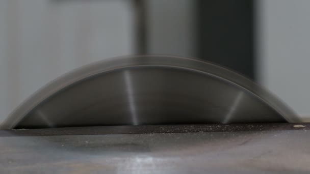 Una Máquina Con Una Sierra Circular Comienza Cortar Aglomerado Fabricación — Vídeo de stock