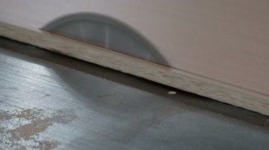 Dairesel testereile bir makineüzerinde bir yonga levha testere. Mobilya üretim süreci. Close. Ahşap atölyesi. Orijinal ses.