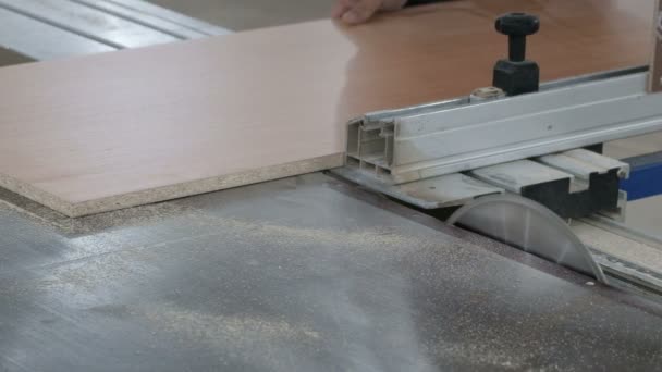 Le menuisier a mis la feuille de aggloméré sur la machine avec le limiteur et commence à la voir avec une scie circulaire. Fabrication de meubles. Le plan moyen. Atelier de menuiserie. Le son original .