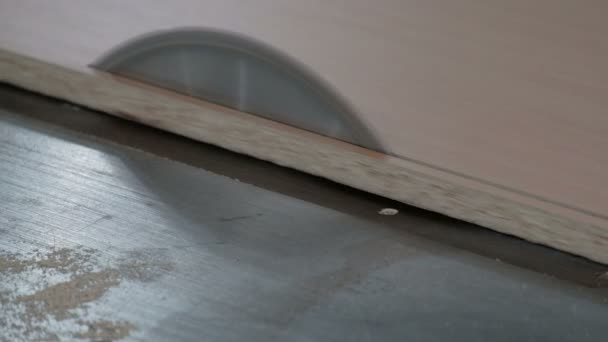 円形の鋸を持つ機械にチップボードシートを鋸で照合する 家具製造プロセス クローズ アップ 木工ワークショップ オリジナルサウンド — ストック動画