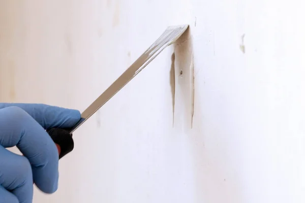 Ręka w niebieską rękawiczkę posiada łopatki. Naprawa ścian. Mężczyzna pokrywa otwór w ścianie z Kit. Zbliżenie. Kopiuj przestrzeń. — Zdjęcie stockowe