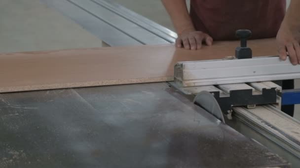 一个家具厂的工人用圆锯把一块刨花板剪了两半 平均计划 车间业务 带有工作机器原始声音的视频 — 图库视频影像