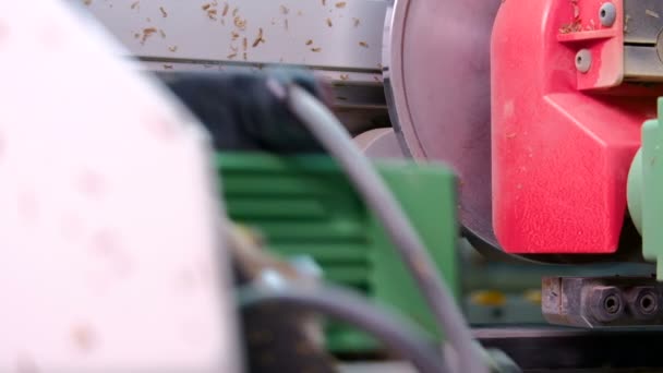 Kenarları Yonga Levha Parçalarına Yapıştırmak Için Makine Mobilya Imalatı Sığ — Stok video
