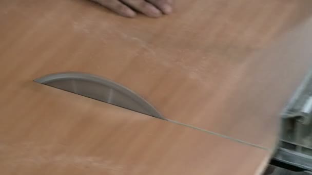 Holzbearbeitungsmaschine mit Kreissäge. Möbelherstellung. Tischler sägt ein Blatt Spanplatten. Nahaufnahme. — Stockvideo