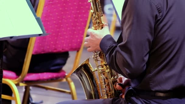 Banda Bronce Municipal Profesional Músico Masculino Con Una Camisa Negra — Vídeos de Stock