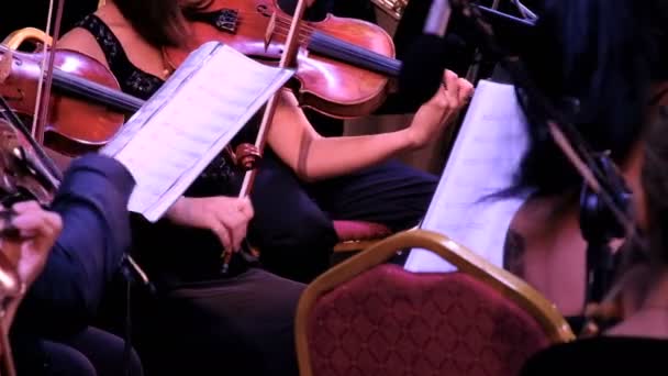 Violinists Jazz Concert Opera Professional Performance Symphony Municipal Orchestra Detail — Stok video