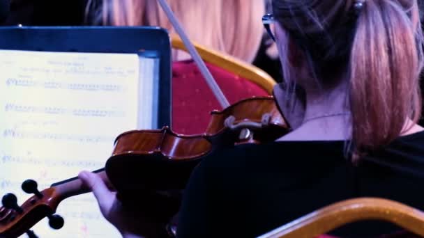 Chica Músico Gafas Toca Violín Estilo Staccato Spiccato Vista Cercana — Vídeo de stock