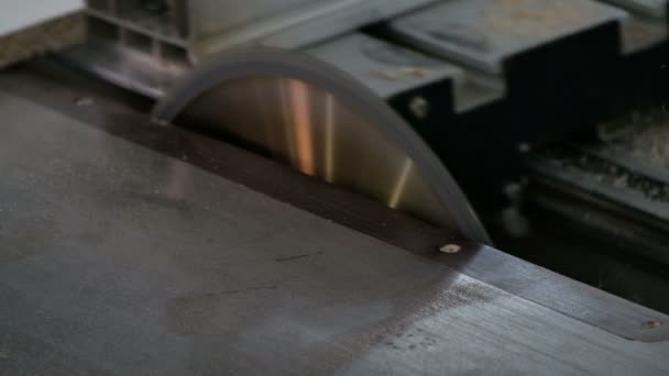 Πριόνισμα λευκού σκίουρου με κυκλικό πριόνι. Κοντινό πλάνο περιστρεφόμενου δίσκου σε εργαλειομηχανή. Κατασκευή επίπλων. Βίντεο με τον ήχο της μηχανής στο εργαστήριο ξυλουργικής. — Αρχείο Βίντεο