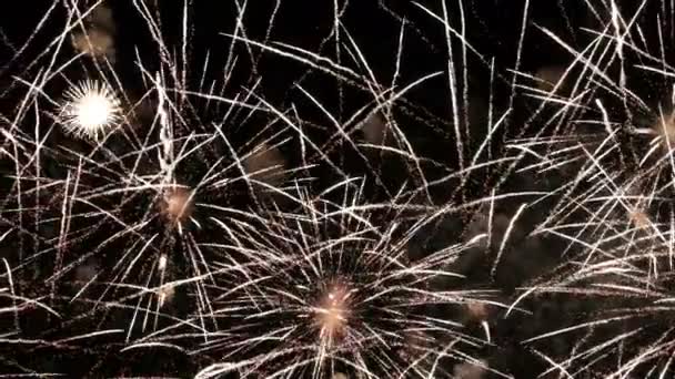 Das Größte Feuerwerk Festtag Filmmaterial Mit Wunderbarem Hintergrund Prachtvolles Feiertagsfeuerwerk — Stockvideo